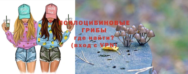 spice Алексин