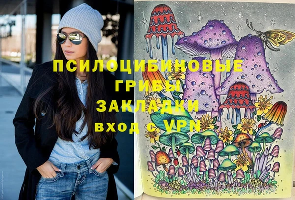 молекула духа Алзамай