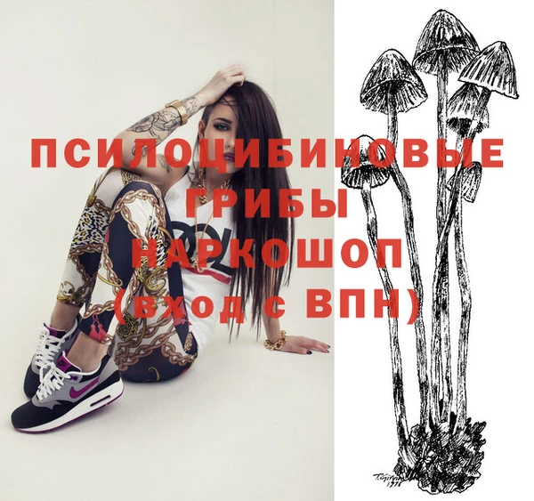 spice Алексин