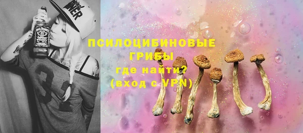 молекула духа Алзамай