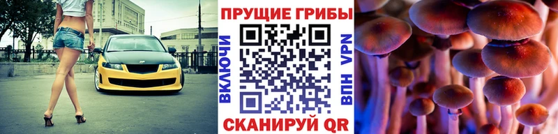 Псилоцибиновые грибы MAGIC MUSHROOMS  что такое   Кулебаки 